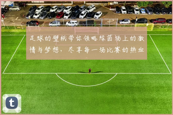 足球的壁纸带你领略绿茵场上的激情与梦想，尽享每一场比赛的热血与荣耀