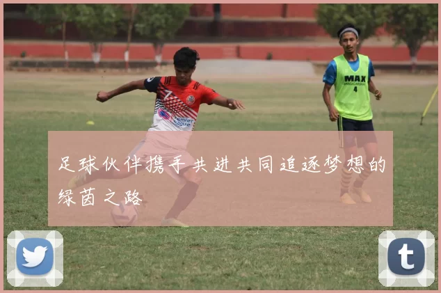 足球伙伴携手共进共同追逐梦想的绿茵之路