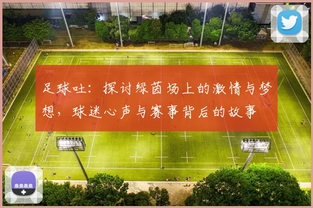 足球吐：探讨绿茵场上的激情与梦想，球迷心声与赛事背后的故事