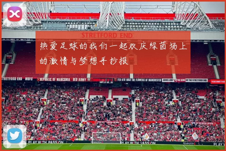 热爱足球的我们一起欢庆绿茵场上的激情与梦想手抄报