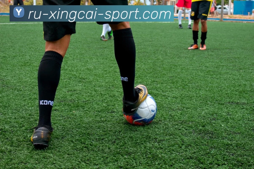 多媒体互动体验