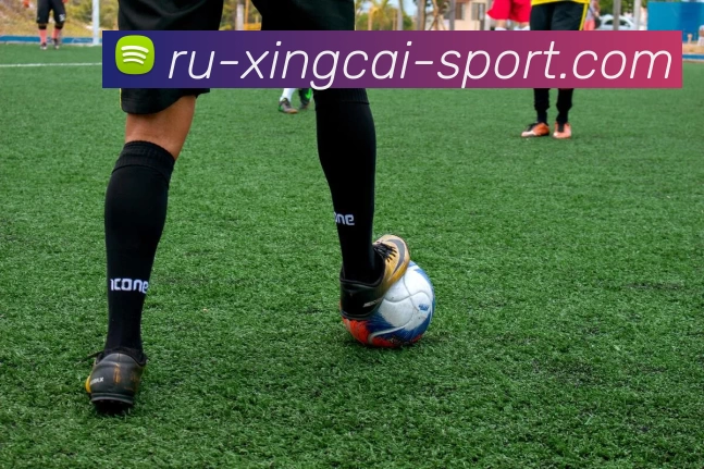 杏彩体育APP 高清赛事图